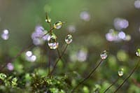 上手に撮るよりテーマが重要。さすが写真家さんです。