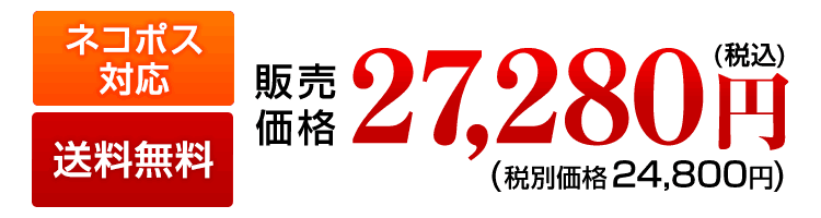 送料・代引手数料無料。税込27280円